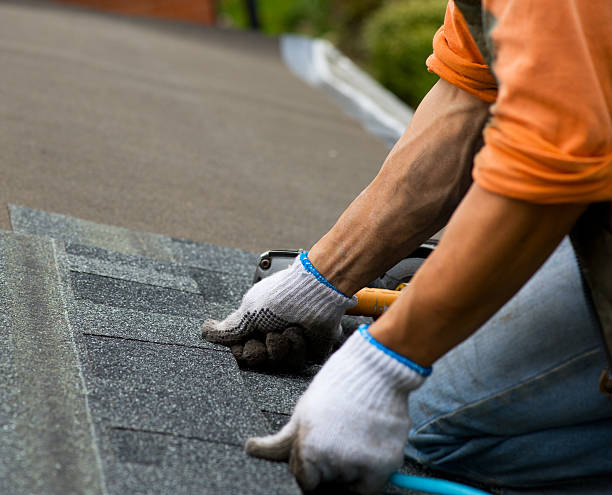 Best Roof Gutter Cleaning  in Bohners Lake, WI