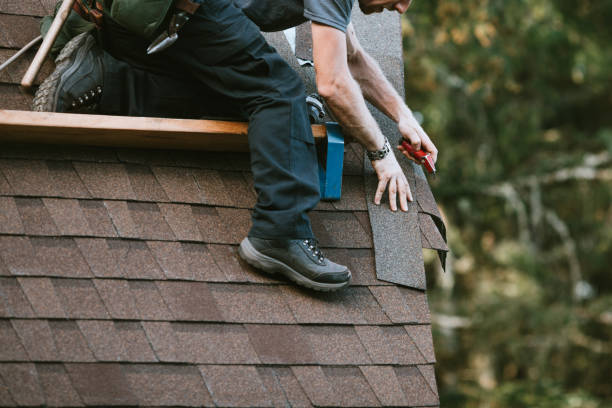 Best Roof Repair Services  in Bohners Lake, WI